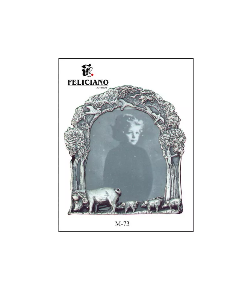 MARCO DE FOTO PLATA