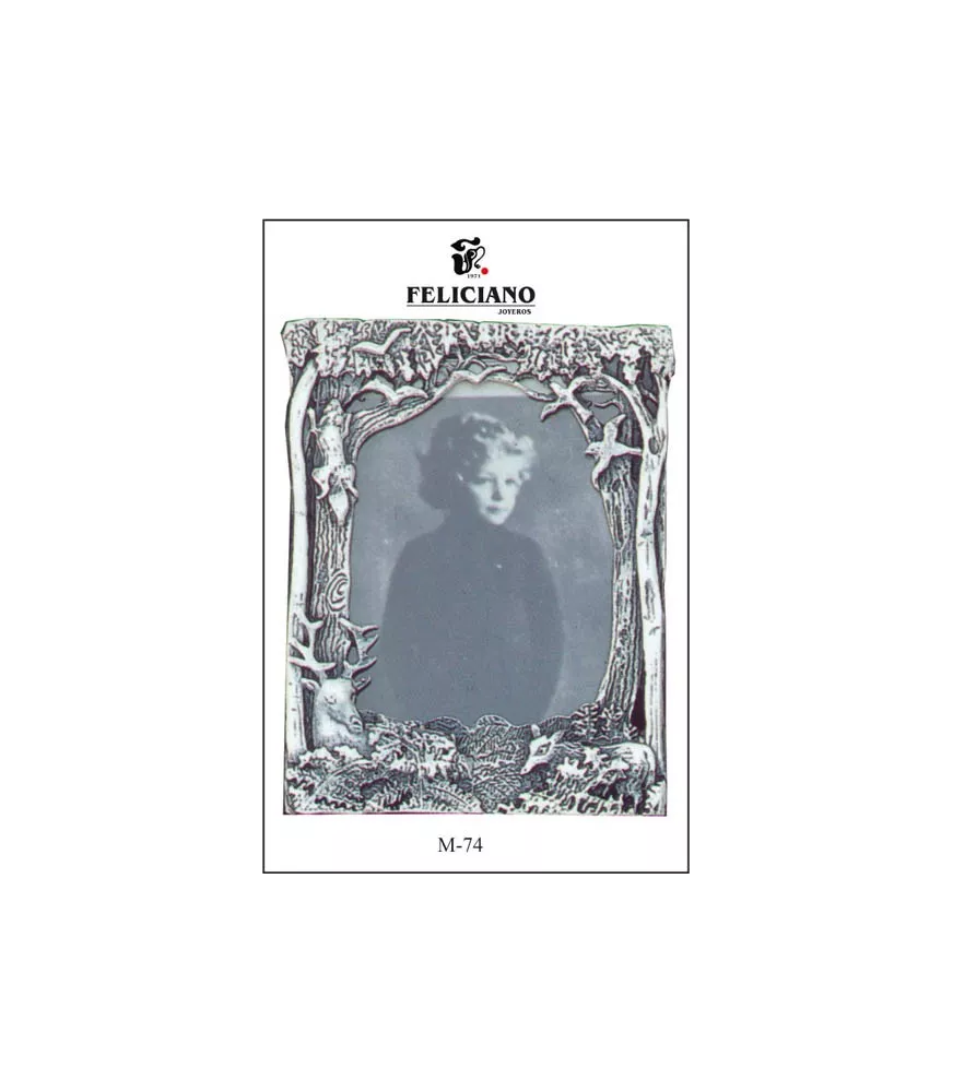 MARCO DE FOTOS PLATA