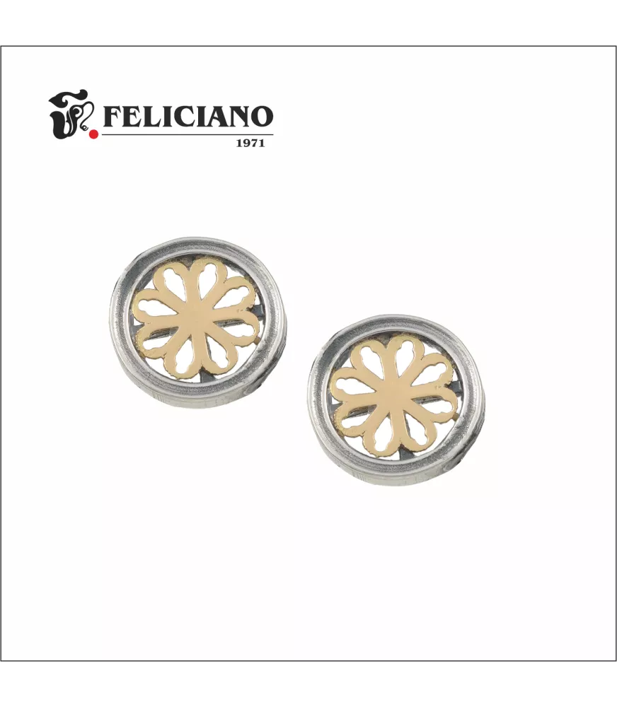 Pendientes rosetón pequeño en plata y oro de 18k, sin bisel.