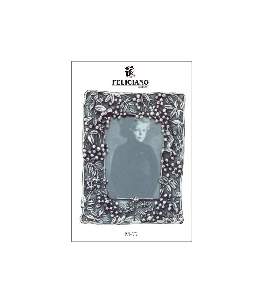 MARCO DE FOTOS PLATA