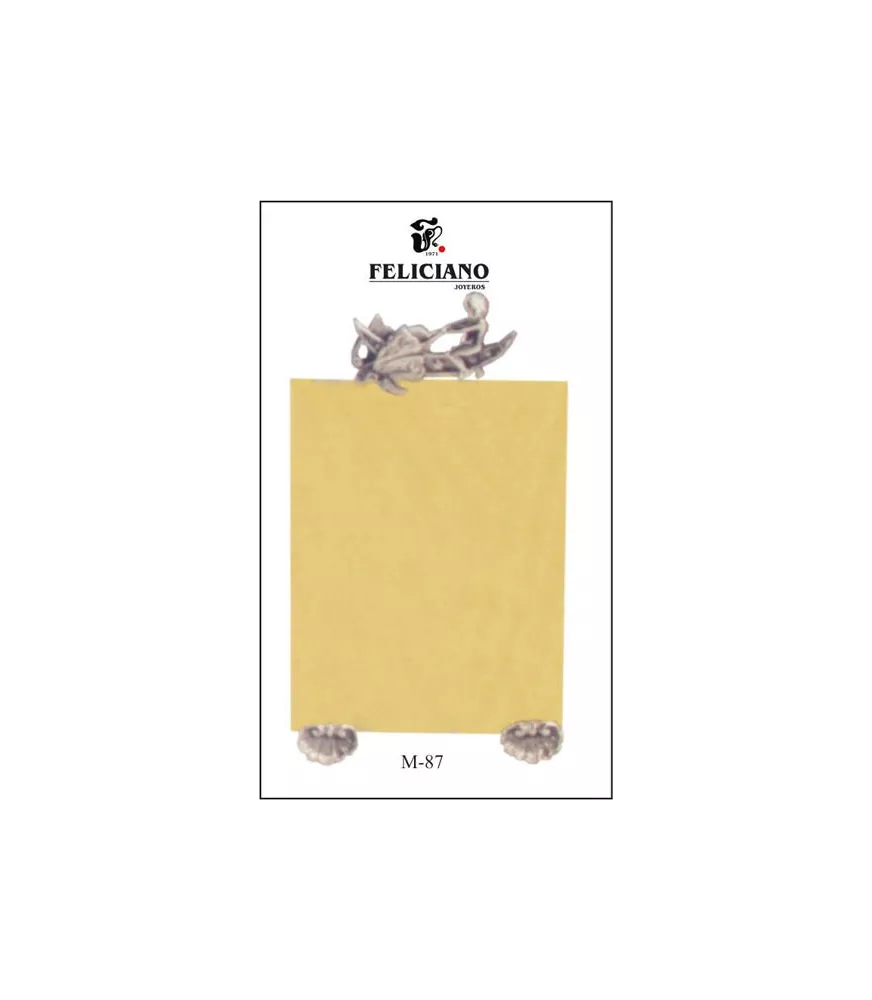 MARCO DE FOTOS PLATA