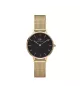 Reloj Daniel Wellington Petite Evergold mujer DW00100349