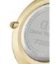 Reloj Daniel Wellington Petite Evergold mujer DW00100349