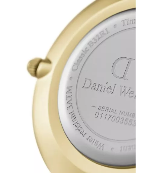 Reloj Daniel Wellington Petite Evergold mujer DW00100349