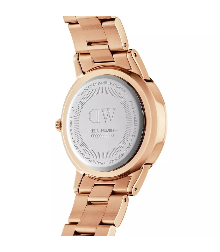 Reloj Daniel Wellington Iconic Link Amber mujer DW00100462