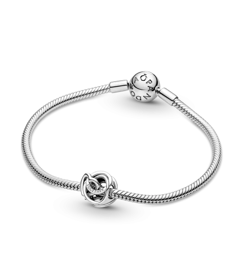 Charm en plata de ley Corazón Círculo Familiar Siempre