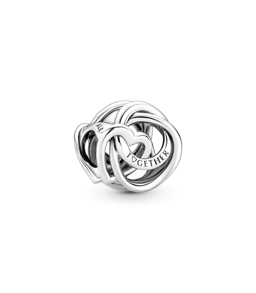 Charm en plata de ley Corazón Círculo Familiar Siempre