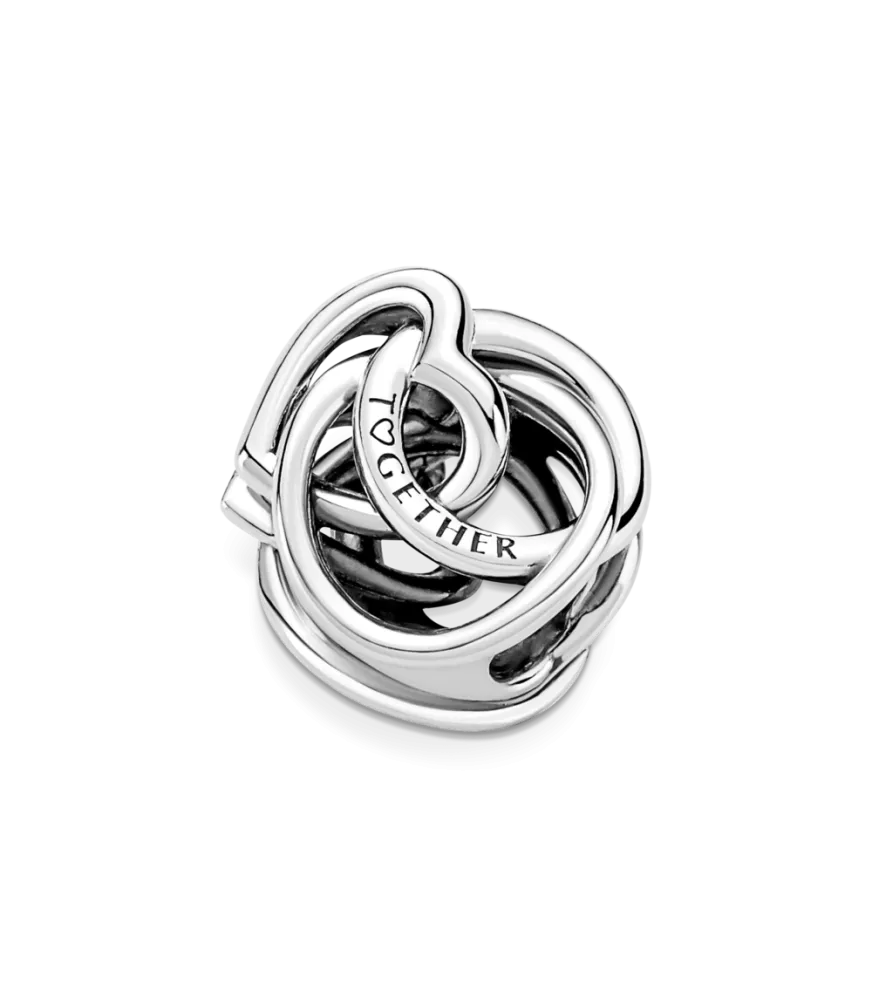 Charm en plata de ley Corazón Círculo Familiar Siempre