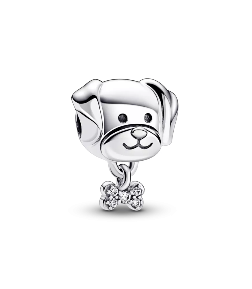 Charm en plata de ley Mascota Perro & Hueso