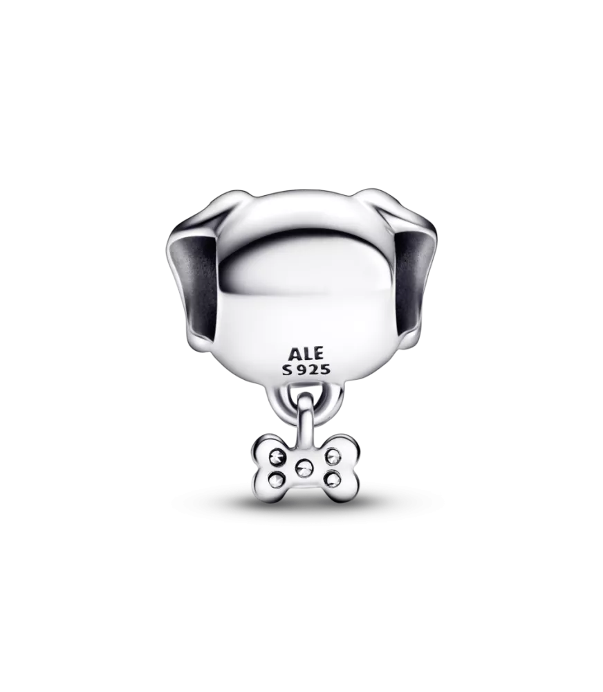 Charm en plata de ley Mascota Perro & Hueso