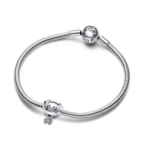 Charm en plata de ley Mascota Perro & Hueso