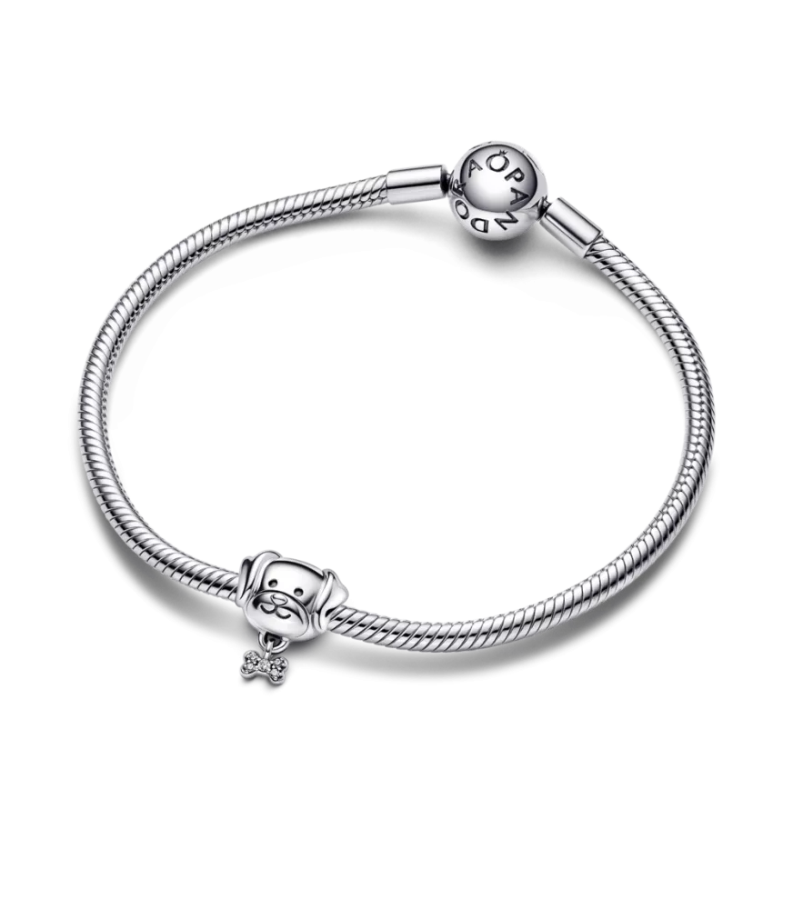 Charm en plata de ley Mascota Perro & Hueso