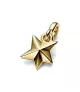 Mini Colgante con un recubrimiento en oro de 14k Estrella Facetada Pandora ME