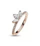 Anillo con un recubrimiento en oro rosa de 14k Herbario Brillante