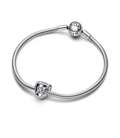 Charm en plata de ley Emblema Rocket Raccoon & Groot Guardianes de la Galaxia de Marvel