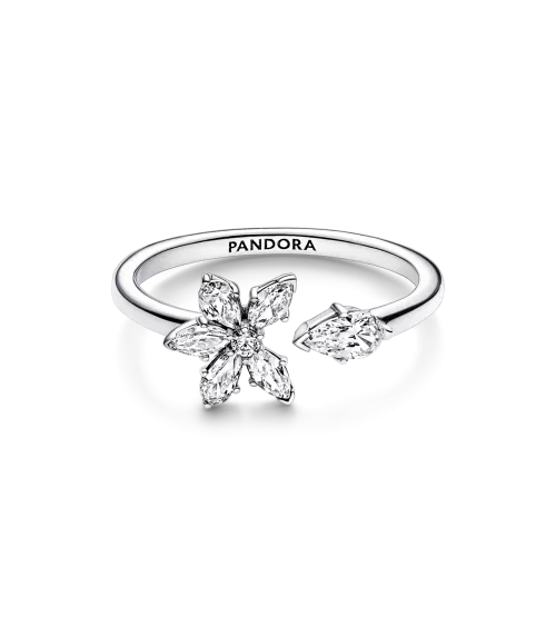 Anillo abierto en plata de ley Herbario Brillante