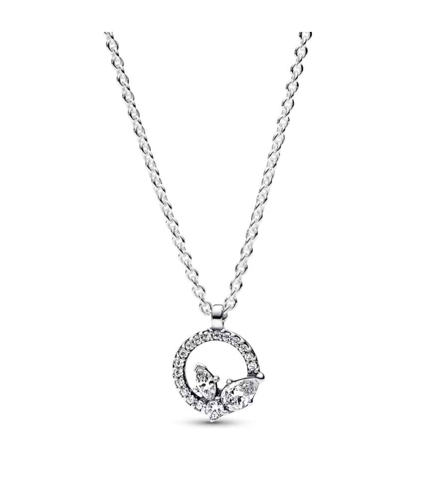 Collar en plata de ley Círculo & Herbario Brillante