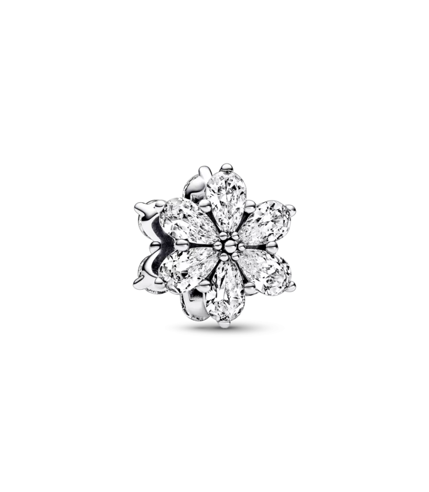 Charm en plata de ley Herbario Brillante