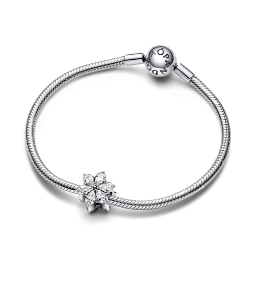 Charm en plata de ley Herbario Brillante