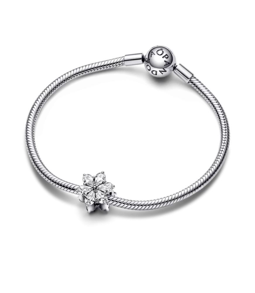 Charm en plata de ley Herbario Brillante