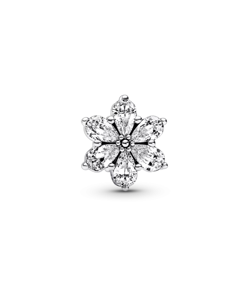 Charm en plata de ley Herbario Brillante