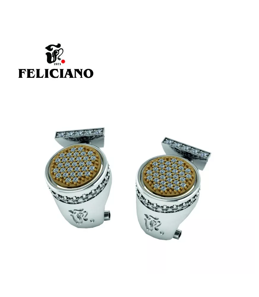 PENDIENTES EN PLATA Y BRONCE CON CIRCONITAS