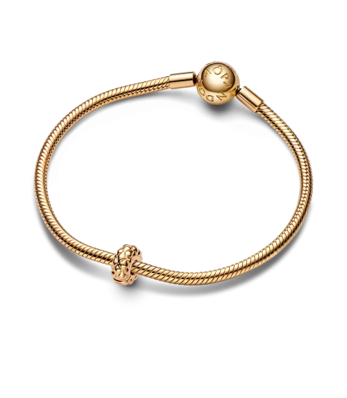 Clip con un recubrimiento en oro de 14k con Tachuelas Fino