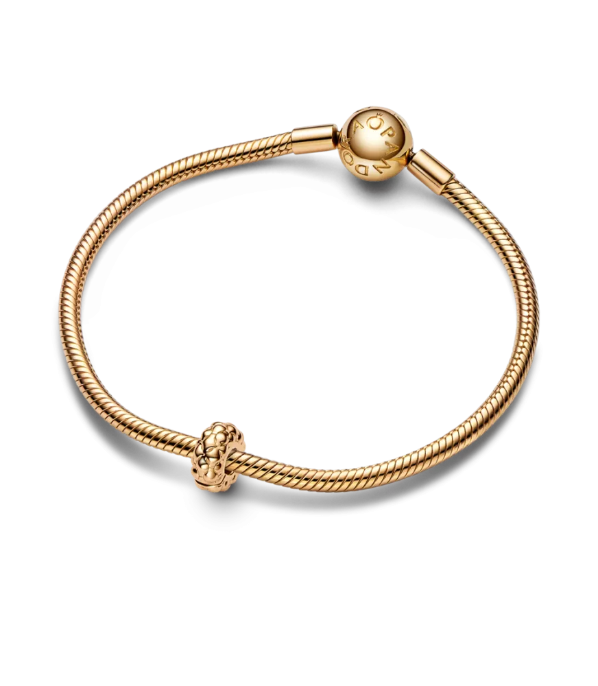 Clip con un recubrimiento en oro de 14k con Tachuelas Fino