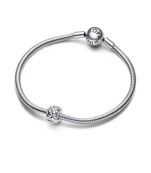 Clip en plata de ley con Tachuelas Ancho