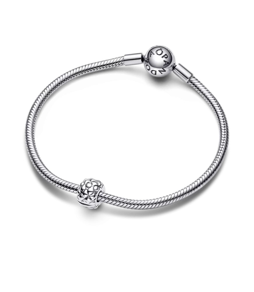 Clip en plata de ley con Tachuelas Ancho