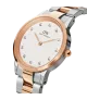 Reloj Daniel Wellington Iconic Link Lumine mujer DW00100358