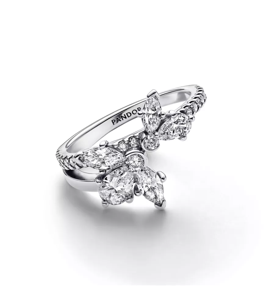 Anillo en plata de ley Herbario Brillante Asimétrico