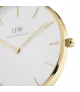 Reloj Daniel Wellington Petite Evergold mujer DW00100348