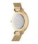 Reloj Daniel Wellington Petite Evergold mujer DW00100348