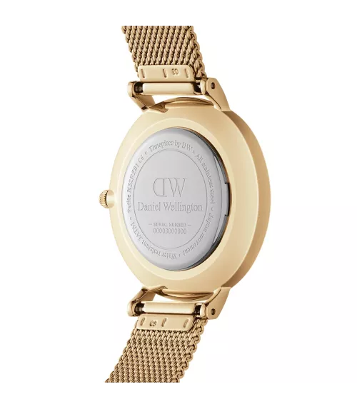 Reloj Daniel Wellington Petite Evergold mujer DW00100348