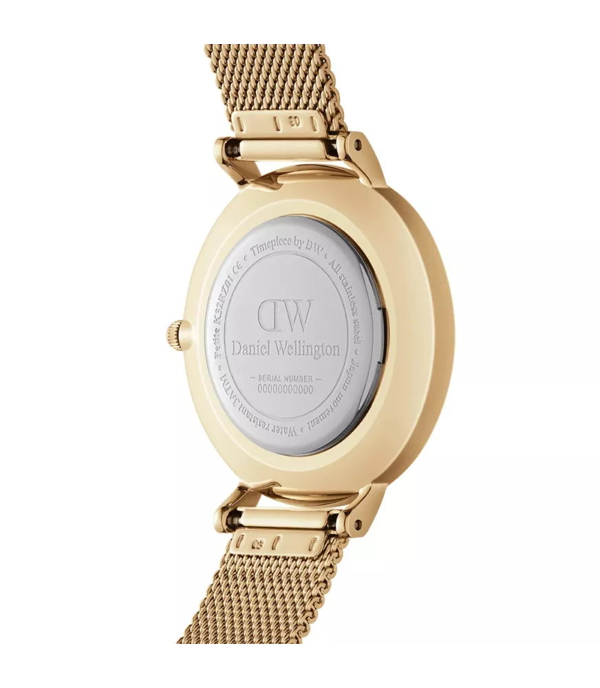 Reloj Daniel Wellington Petite Evergold mujer DW00100348