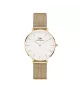 Reloj Daniel Wellington Petite Evergold mujer DW00100348