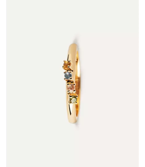 Anillo Rainbow Wing, P D Paola, colección Básicos de joyeria.