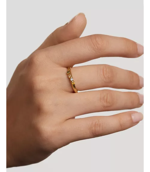 Anillo Rainbow Wing, P D Paola, colección Básicos de joyeria.