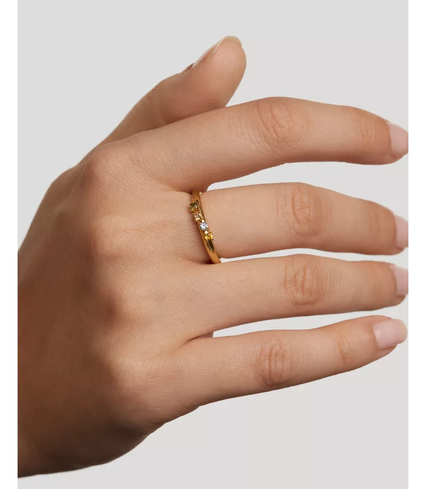 Anillo Rainbow Wing, P D Paola, colección Básicos de joyeria.