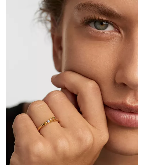 Anillo Rainbow Wing, P D Paola, colección Básicos de joyeria.