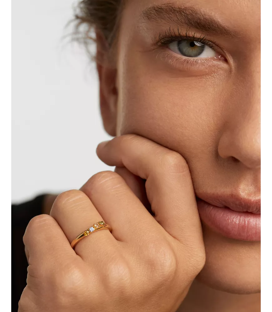 Anillo Rainbow Wing, P D Paola, colección Básicos de joyeria.