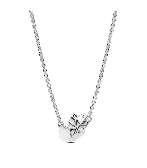 Collar en plata de ley Rosa Blanca Floreciendo​