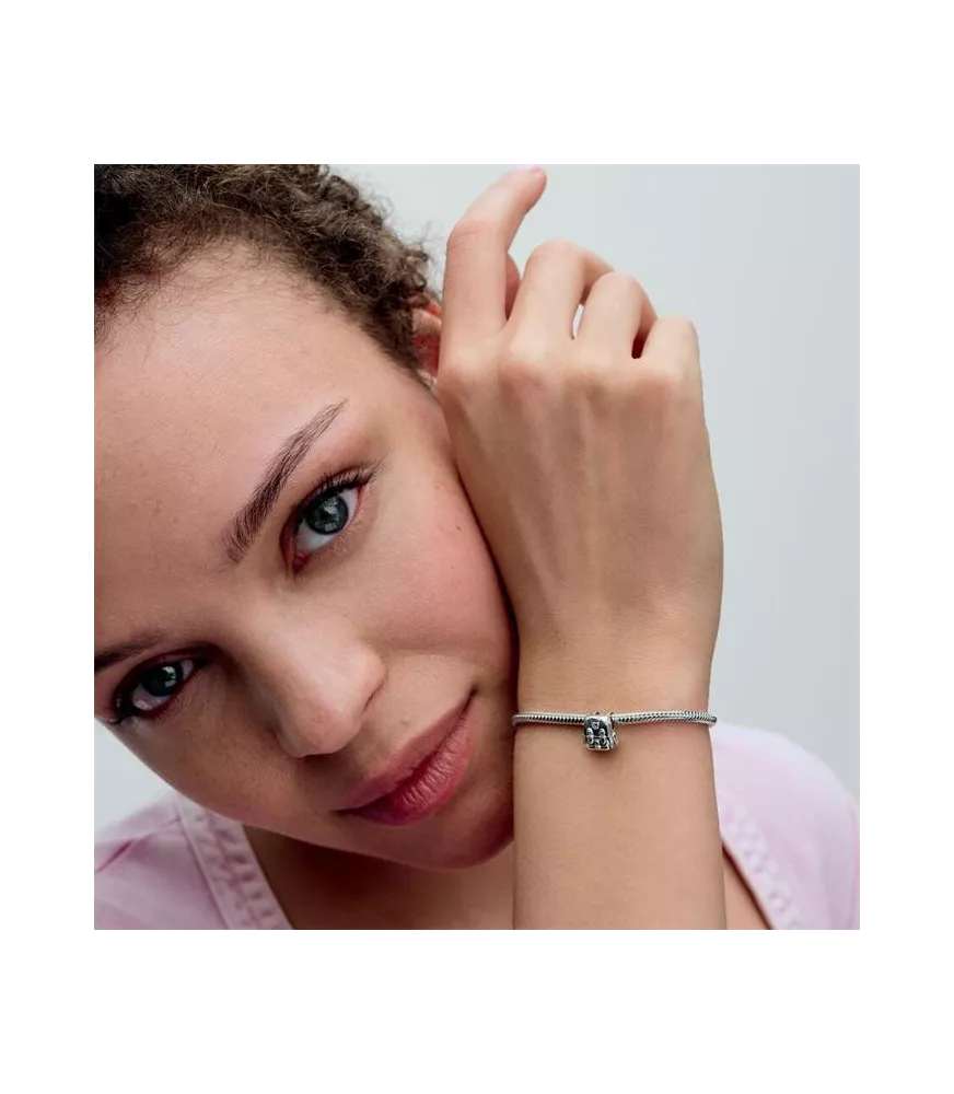 Charm en plata de ley Mochila Aventuras