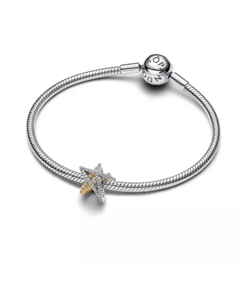 Charm en plata de ley y con un recubrimiento en oro de 14k Estrella Cruzada Brillante Bicolor