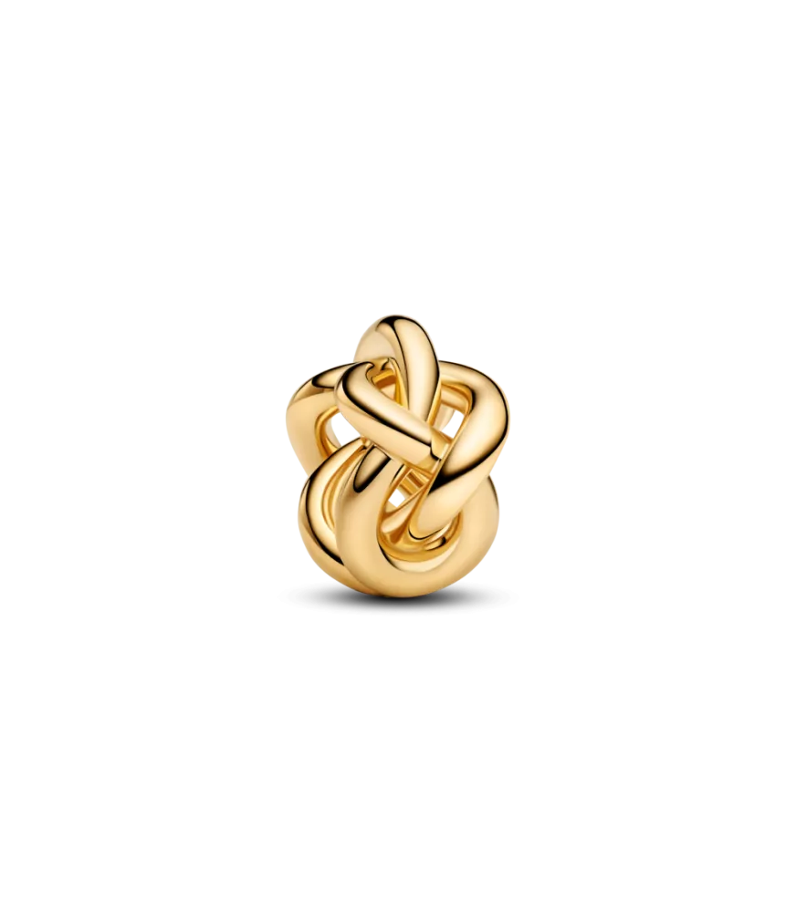Charm con un recubrimiento en oro de 14k Nudo Infinito
