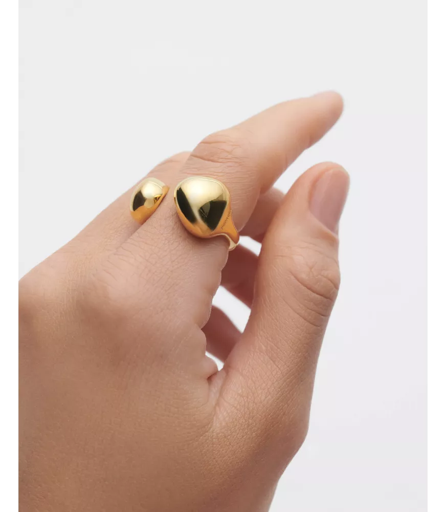 Anillo Gravity, P D Paola, colección Dolphin,