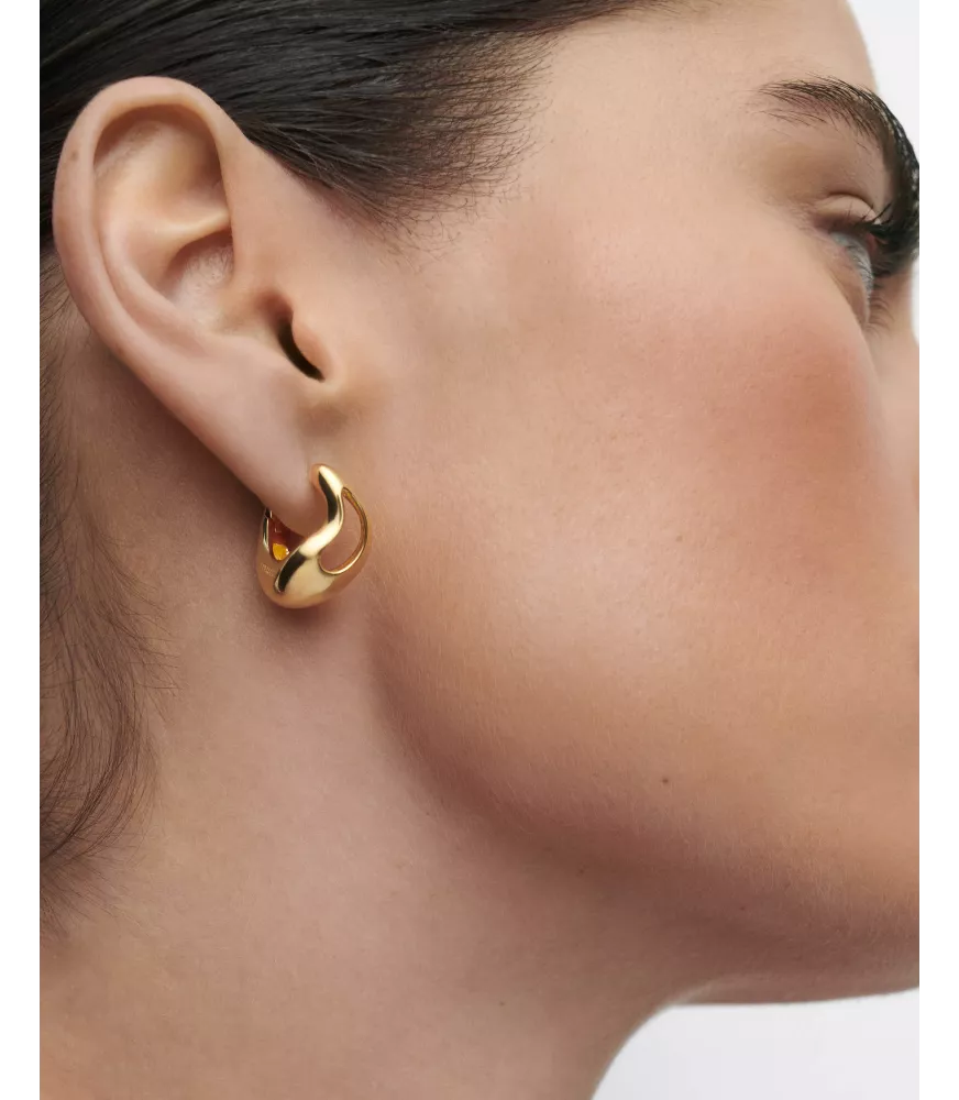 Pendientes aros Tempo, P D Paola, colección Dolphin,