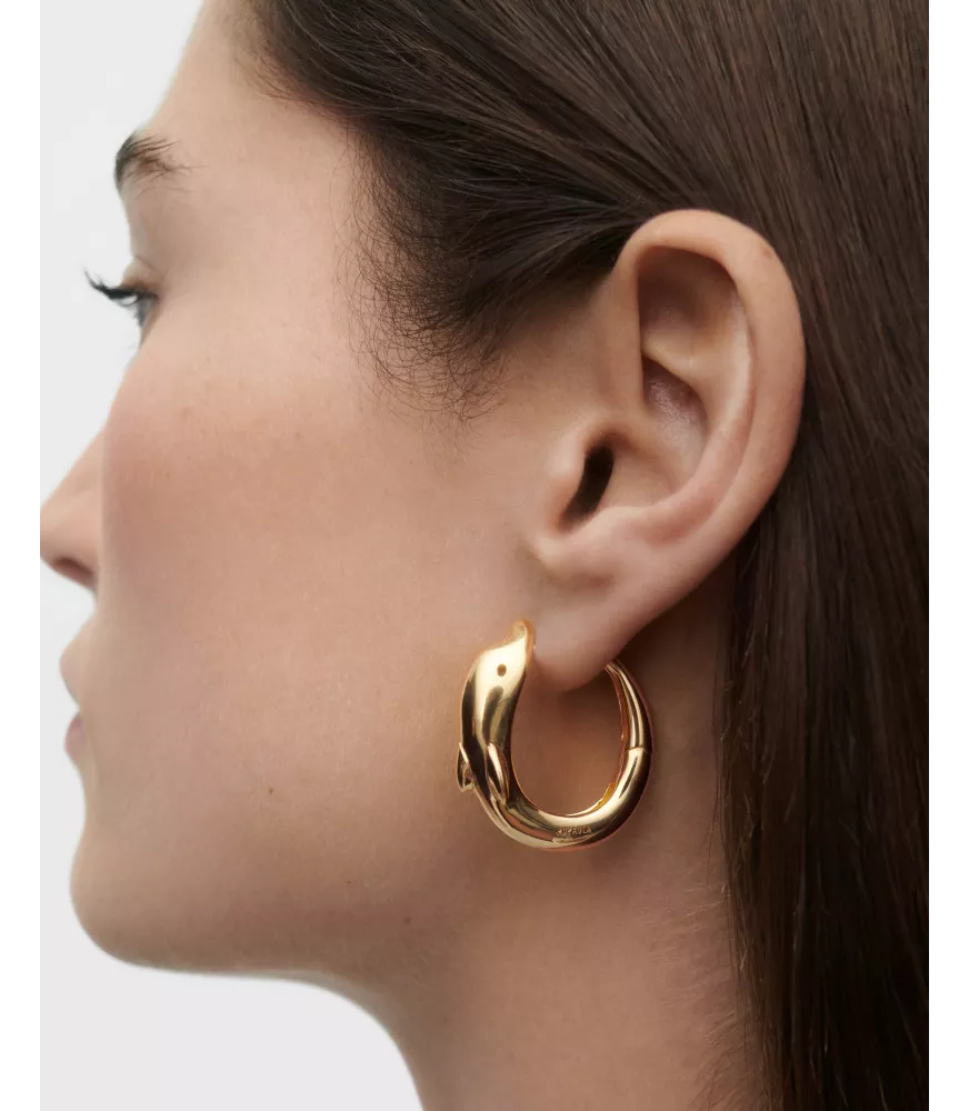 Pendientes aros Dolphin, P D Paola, colección Dolphin,