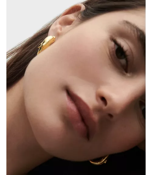 Pendientes aros Dolphin, P D Paola, colección Dolphin,